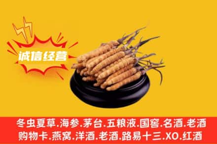 新邱区回收冬虫夏草